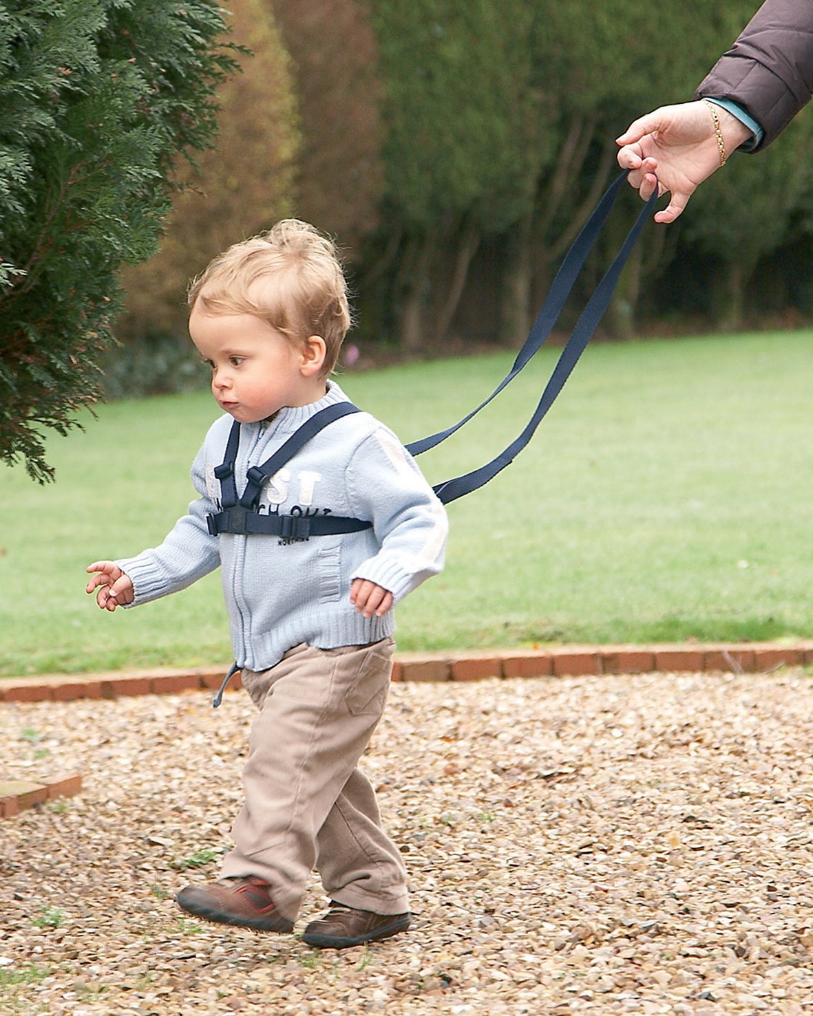 Clippasafe Walking Harness and Reins (Pink) - Image 2
