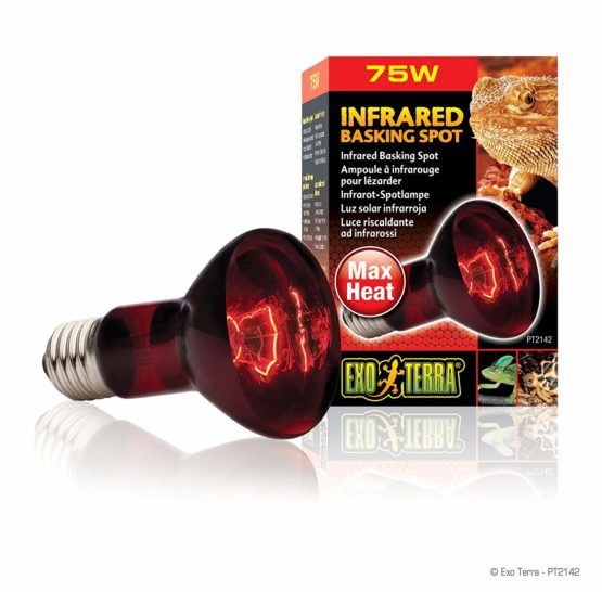 Exo Terra Infrared Basking Spot Lamp, 75 W - Image 3