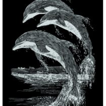 Mammut 136013 - Kratzbild Silber - Delfine, 20 x 25.5 cm