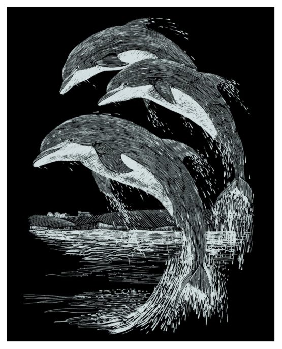Mammut 136013 - Kratzbild Silber - Delfine, 20 x 25.5 cm
