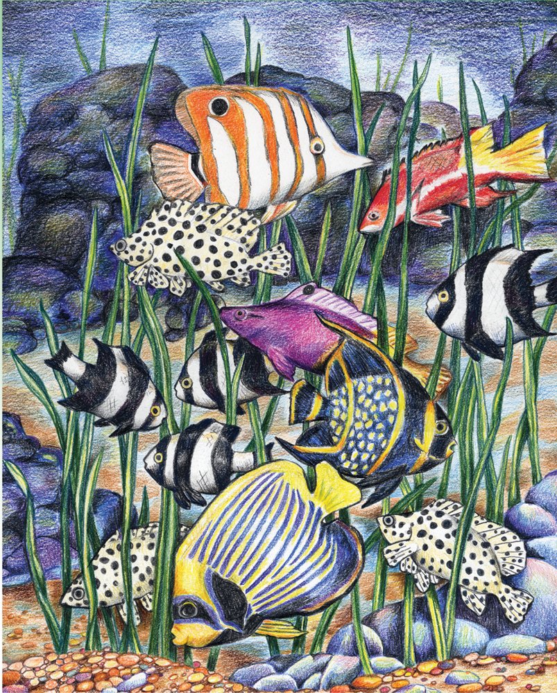 Royal & Langnickel Colour Pencil by Numbers Tropical Fish Designed Painting Set, multicolour