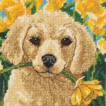 DIMENSIONS Puppy Mischief, Multi-Colour