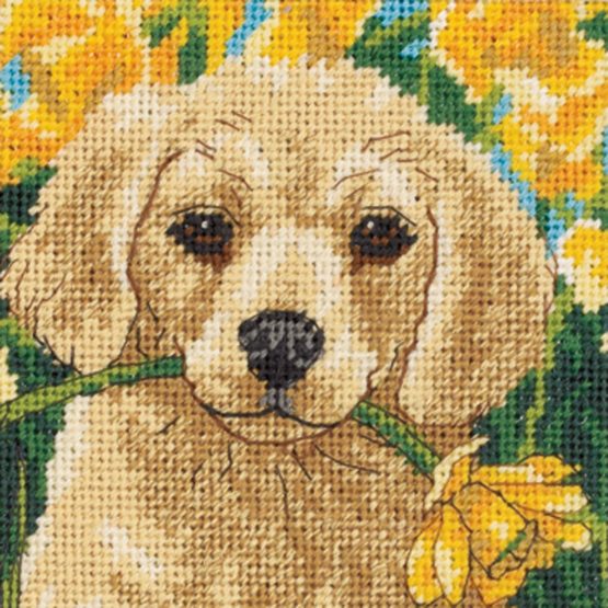 DIMENSIONS Puppy Mischief, Multi-Colour
