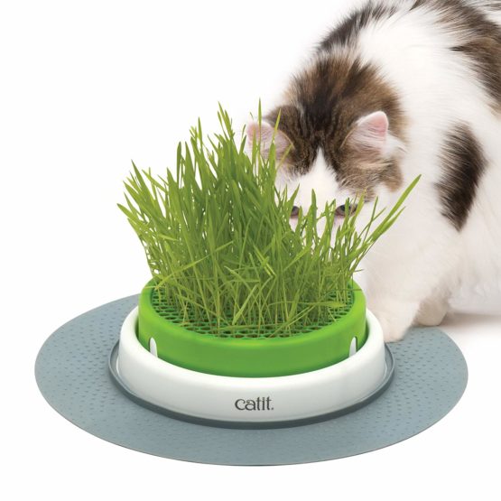Catit Senses Grass Planter - Image 3