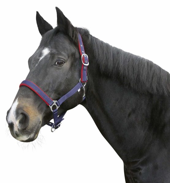 Kerbl Underlay Head Collar Dexter with Fleece