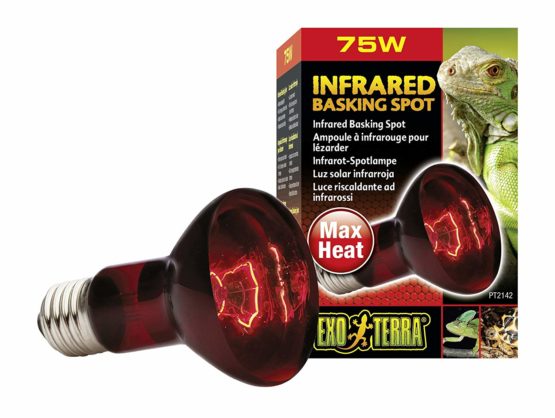 Exo Terra Infrared Basking Spot Lamp, 75 W