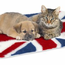 Non-Slip Vetbed Union Jack