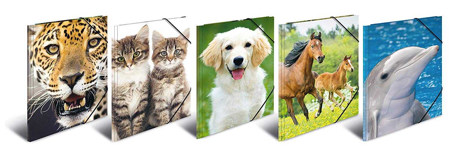 HERMA Elastic Folder Animals, Assorted Colourful Designs, A3, Sturdy Plastic, with Inner Print, Pack of 10