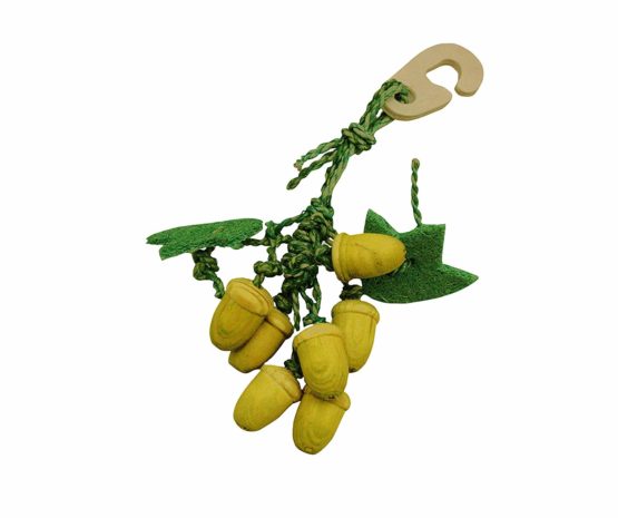 Critters Choice Acorn Nibbler Chew Toy for Small Animals