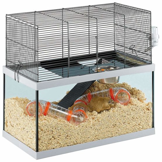 Ferplast Cage for Gerbils GABRY 60 Small Rodents, Structure On Two Floors, Included Accessories, Glass Tank and Mesh In Black Painted Metal, 60 x 31,5 x h 52 cm