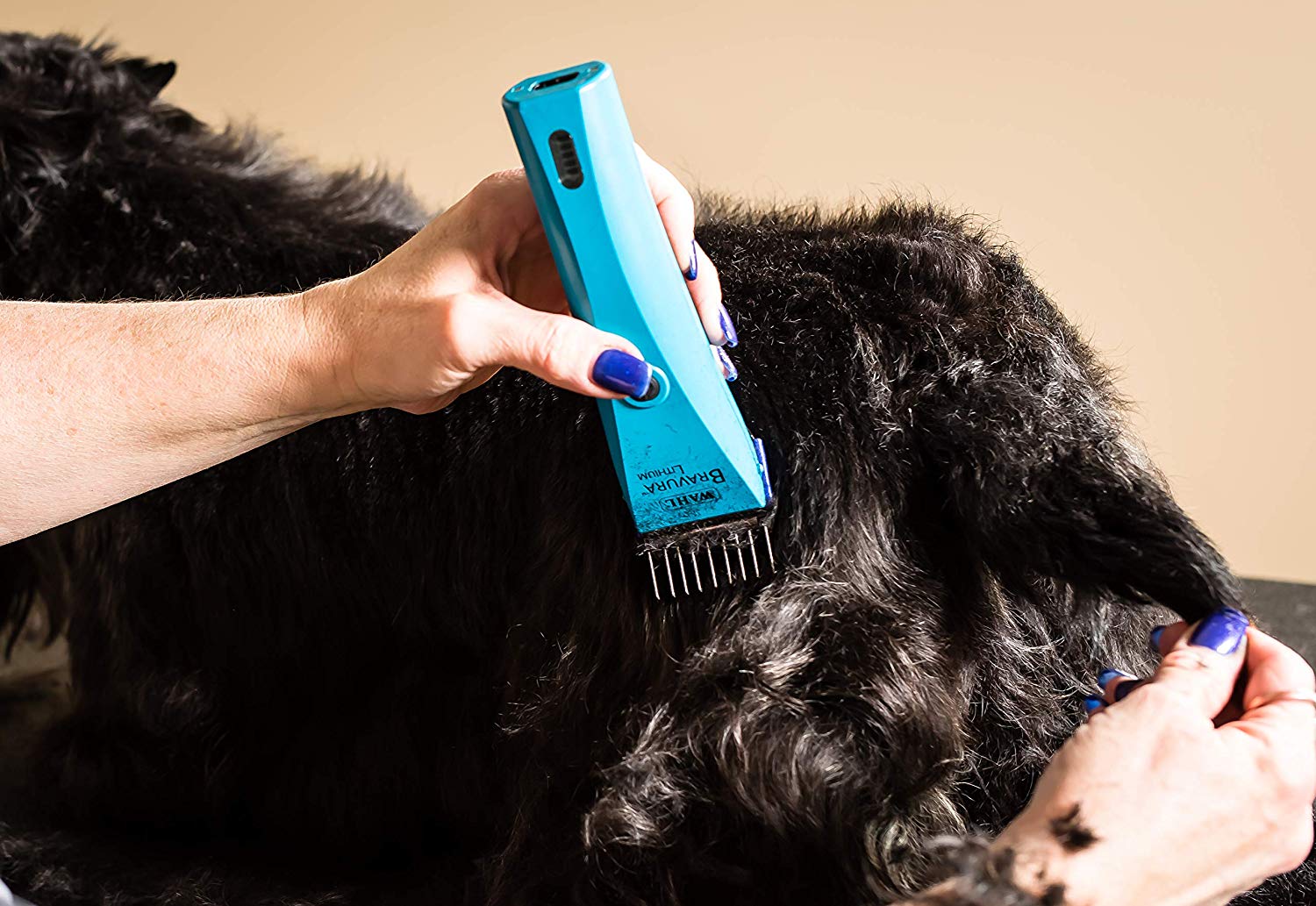 Wahl Stainless Steel Comb Set, Coloured Attachment Combs, For Wahl Arco, Belisima, Bravura and Chromstyle - Image 4