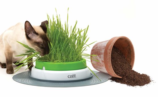 Catit Senses Grass Planter - Image 2