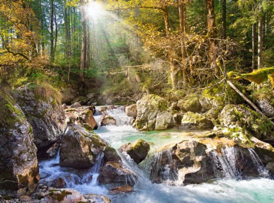Castorland CSC200382 Hobby Panoramic The Forest Stream Jigsaw Puzzle, 2000 Pieces Set, Multicolour - Image 2