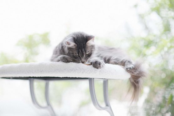 K&H Universal Mount Kitty Sill, Fleece - Image 3