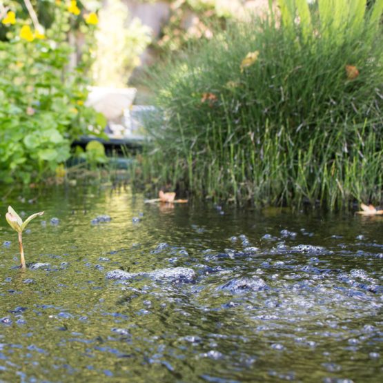 Blagdon Pond Oxygenator Kit for Standard Ponds Up to 2,000 Litre - Image 3