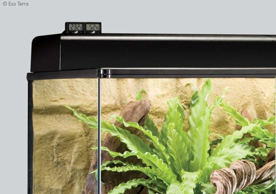 Exo Terra Digital Thermometer - Image 2