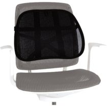 Fellowes Office Suites Mesh Back Support