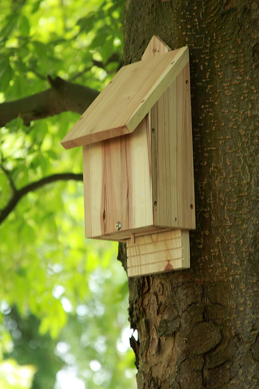 Wildlife World Chavenage Bat Box, Natural FSC Timber, 16.4 × 18 × 43 cm - Image 4