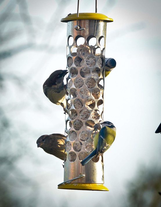 Peckish Daily Goodness Suet Nugget Metal Bird Feeder,Yellow - Image 2