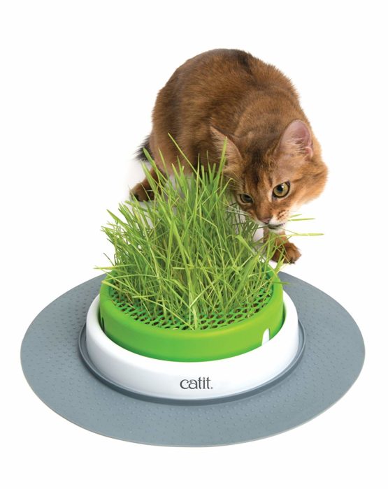 Catit Senses Grass Planter