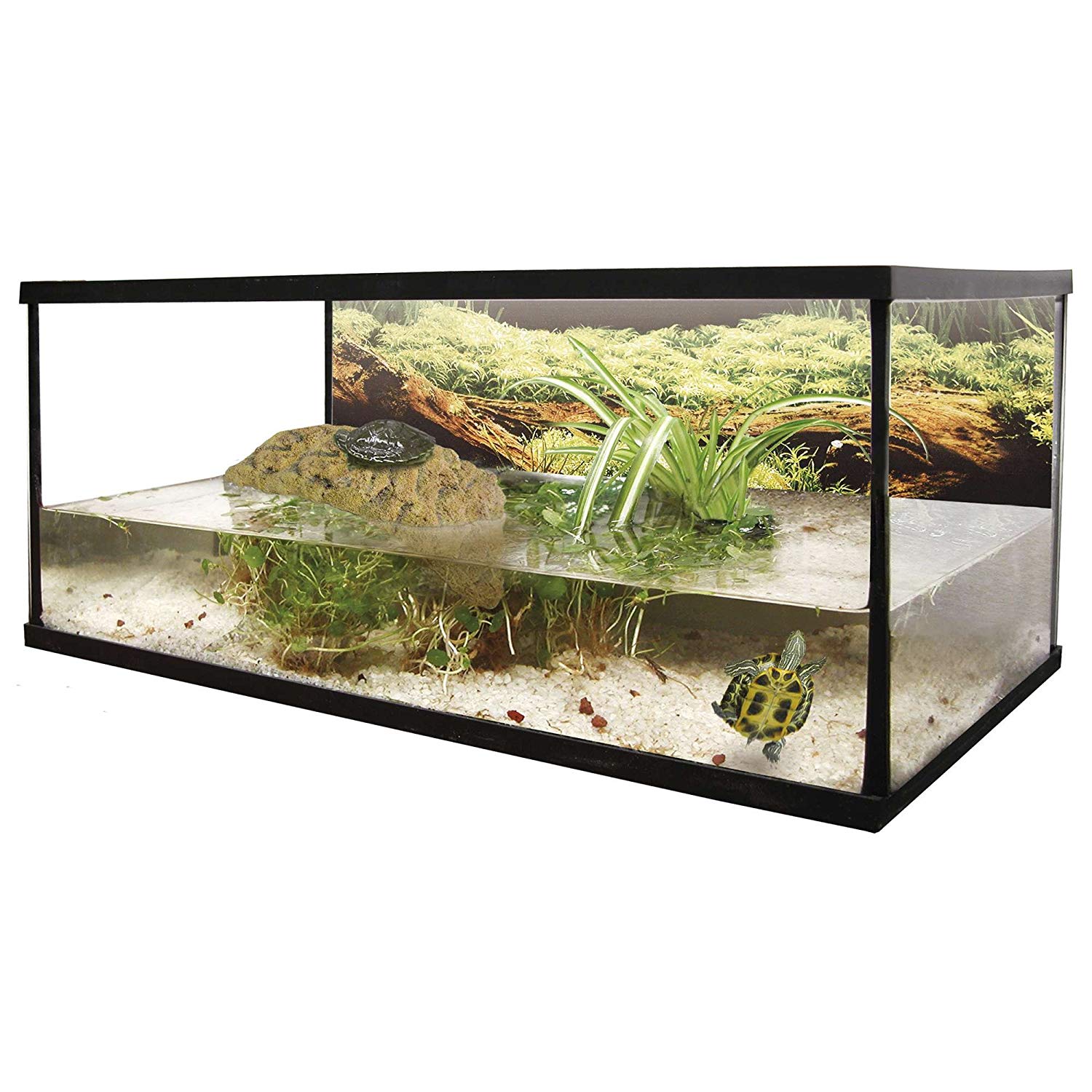 ICA KIS35 Glass Turtle Island Kit – BigaMart