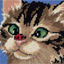 DIMENSIONS Cross-Eyed Kitty, 5"x5" Stitched in Yarn & Thread