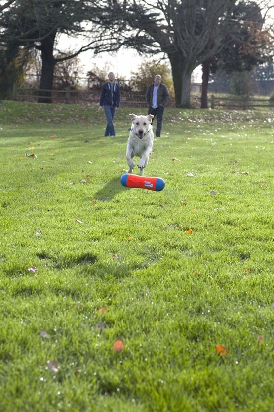 Chuckit Tumble Bumper Medium - Image 4