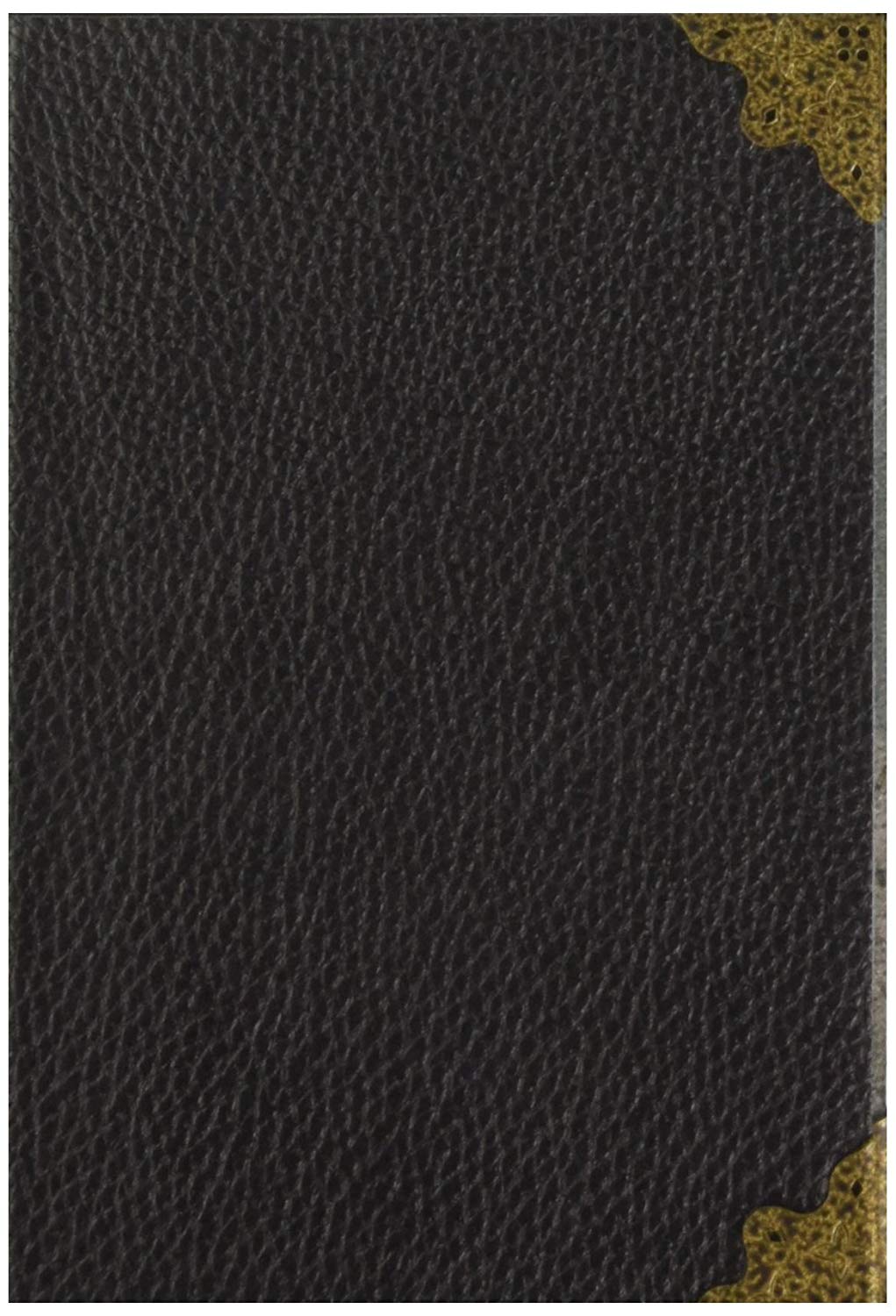 The Noble Collection Noble Collection – Harry Potter – Horcrux Journal of Tom Marvolo Riddle - Image 2