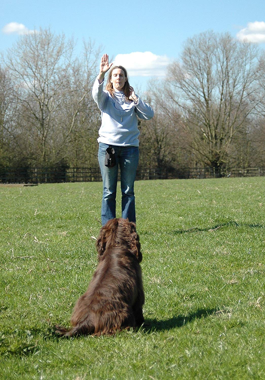 COMPANY OF ANIMALS High Frequency Whistle for Dogs Best Dog Training Equipment, Adjustable Frequency, Easy to Use, High Pitch - Image 4