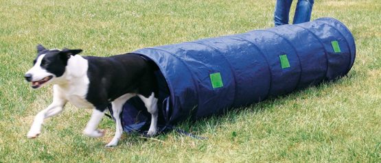 Trixie Dog Activity Agility Tunnel, 40 cm ﾗ 2 m, Blue - Image 2
