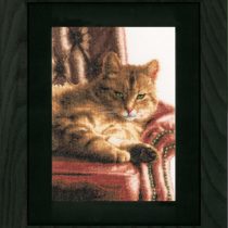 Lanarte PN-0146177 Relaxed Tabby, Pack of 1