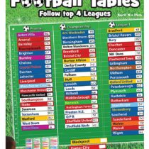 Fiesta Crafts T-2401 Magnetic Football Table Chart, Various
