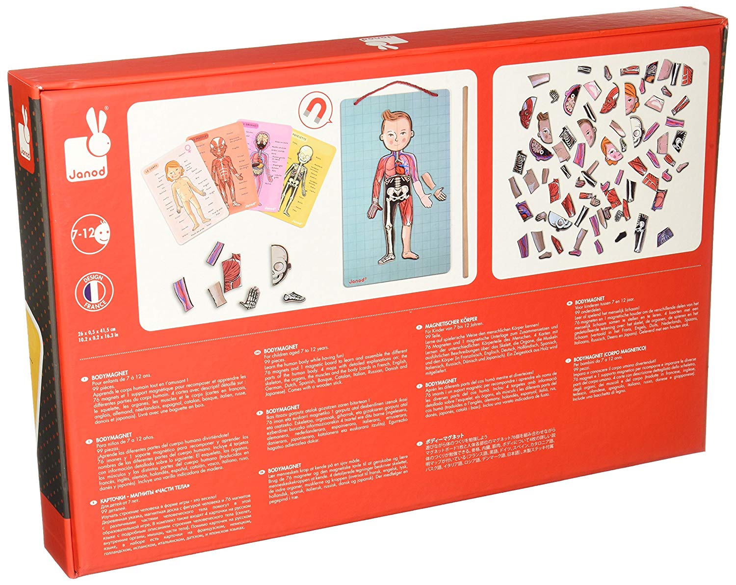 Janod Bodymagnet Educational Human Body Game, Anatomy, Organs, Skeleton, Muscles, 76 Magnetic Pieces, From 7 Years Old - Image 2