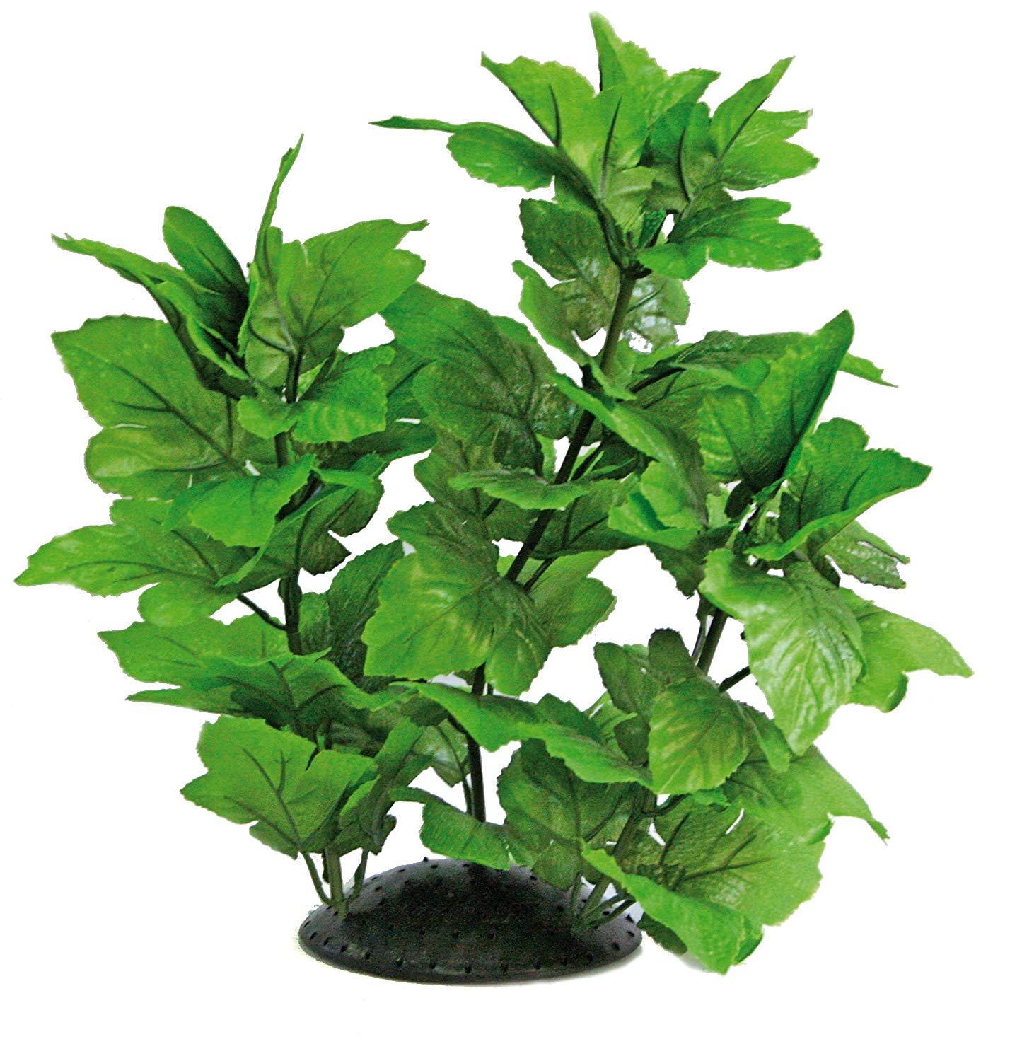 WAVE Plant Replica Hygrophila, 30 cm, Green