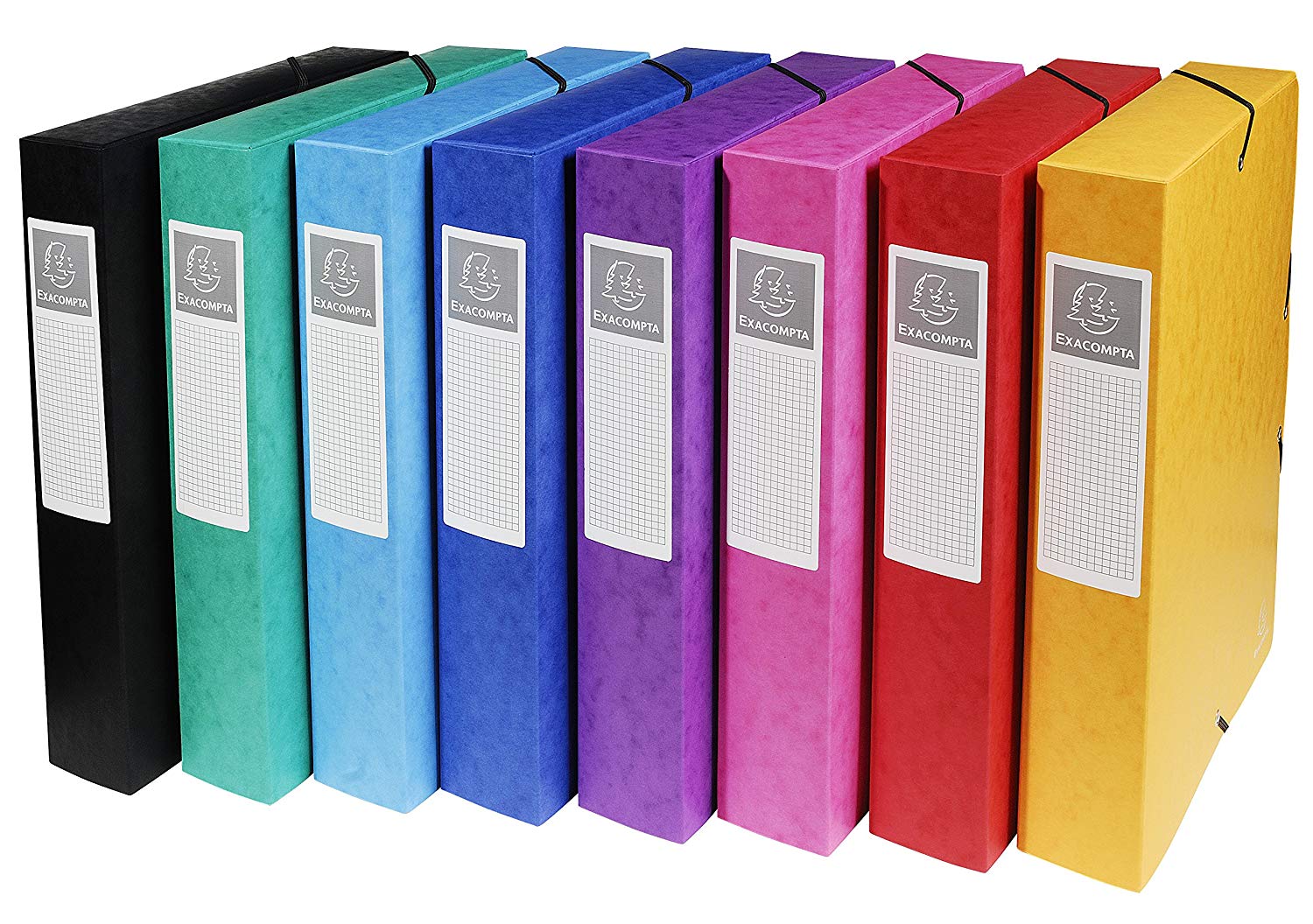 Exacompta, Ref 50600E, Elasticated Filing Boxes, 240 x 320mm in Size, Suitable for A4 Documents, 60mm Spine with Label