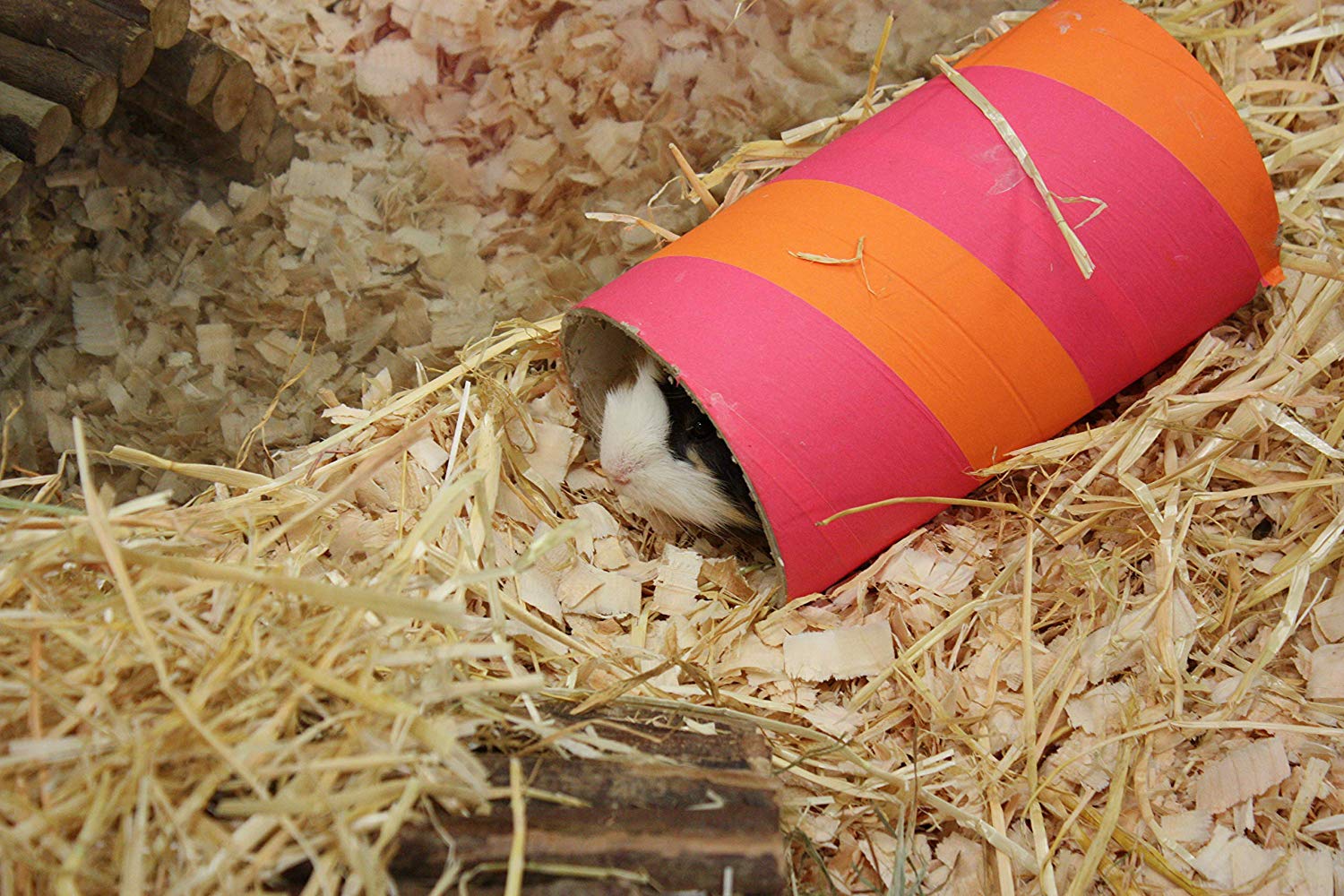 Critters Choice Chube Original Chewable Play Tube, Natural Vegetable Parchment, Small Breeds, Large - Image 2