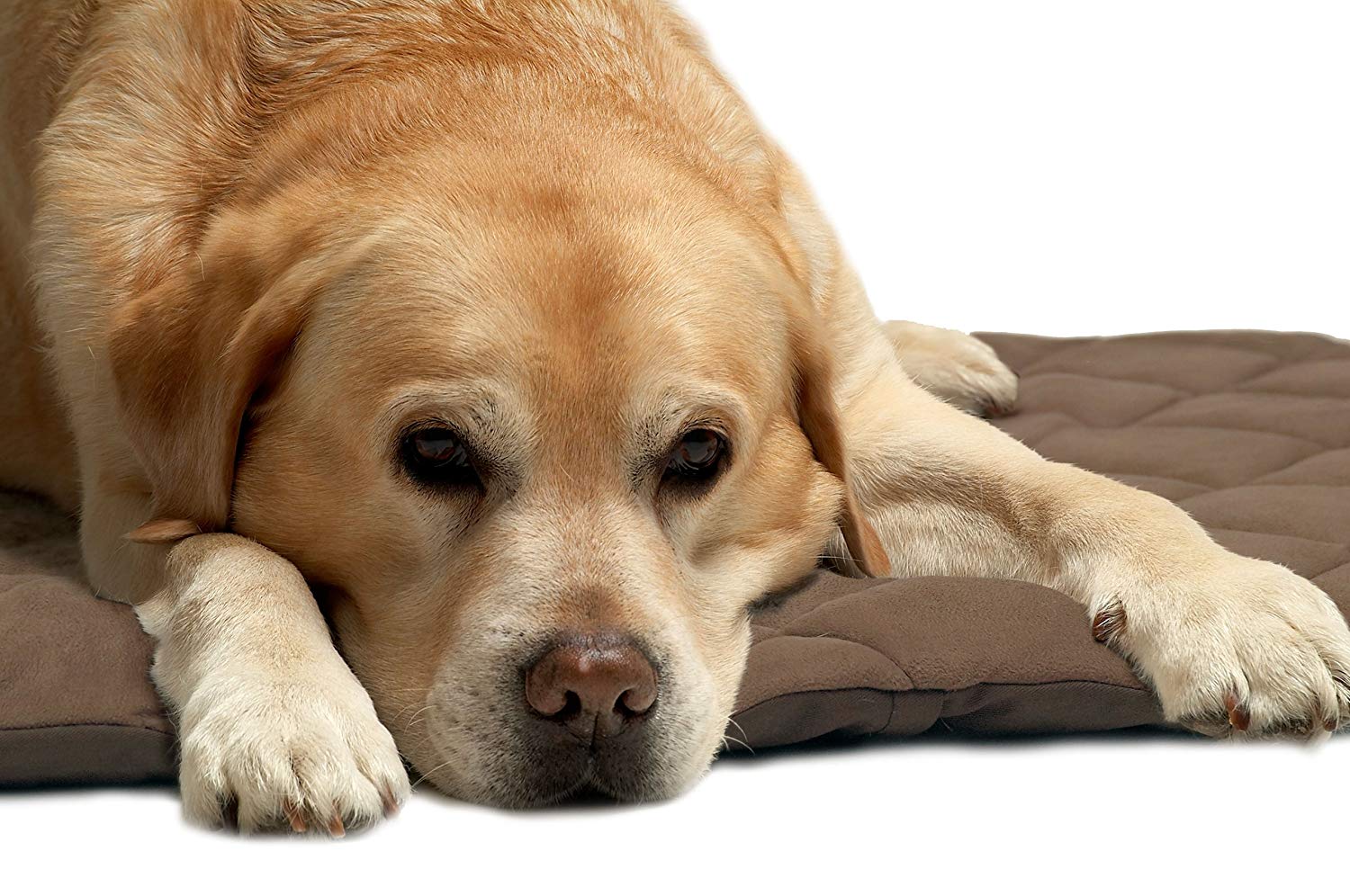 Petlife Flectabed Q Thermal Pet Bedding for Dog/ Cat, 50 x 30-inch, Brown, 4 50"X30"