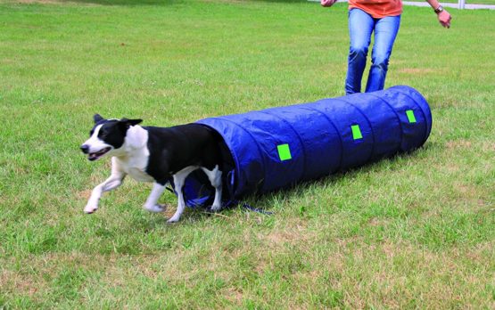 Trixie Dog Activity Agility Tunnel, 40 cm ﾗ 2 m, Blue - Image 3