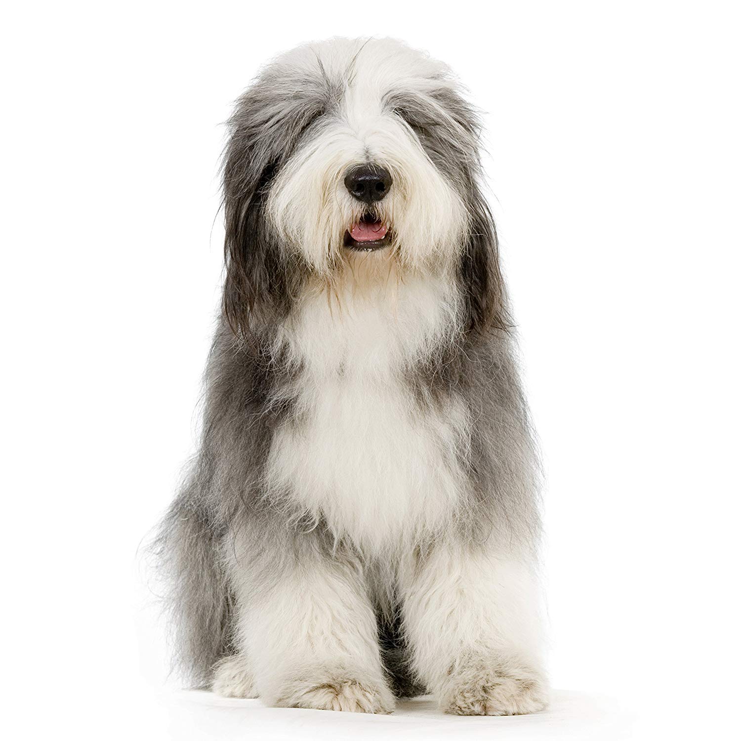 Wahl Easy Groom Animal Conditioner 500ml - Image 2