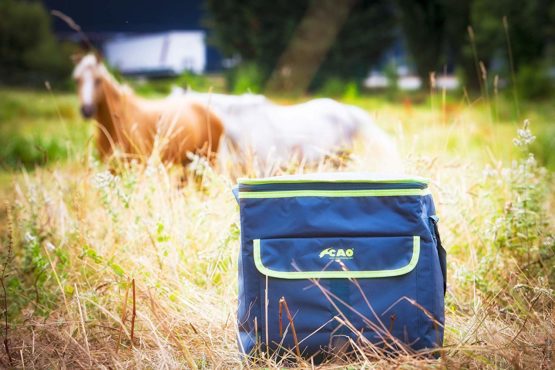 CAO Camping Cool Bag - Image 2
