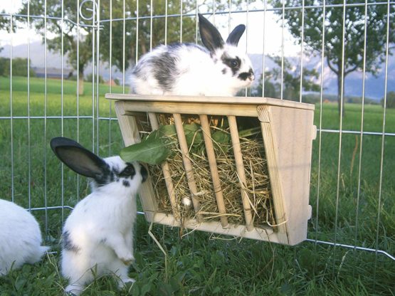 Hay Rack with Wooden Seat, 25 x 17 x 20 cm - Image 2