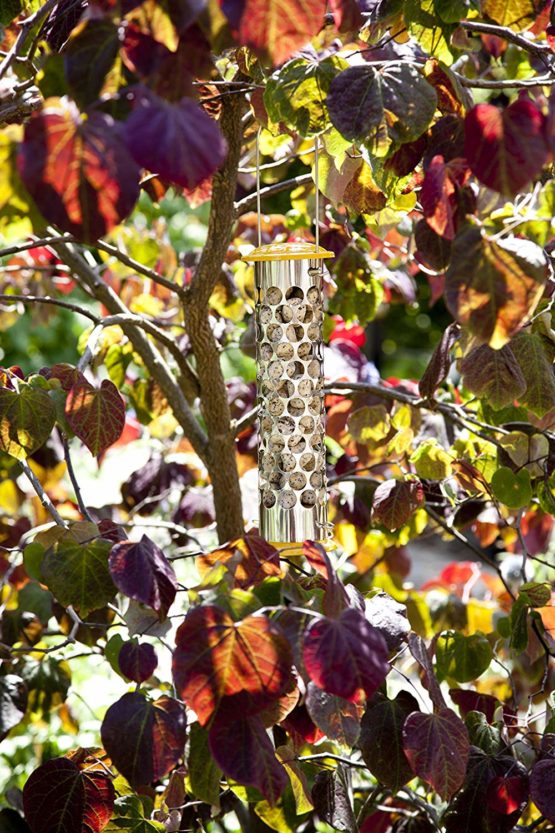 Peckish Daily Goodness Suet Nugget Metal Bird Feeder,Yellow - Image 4