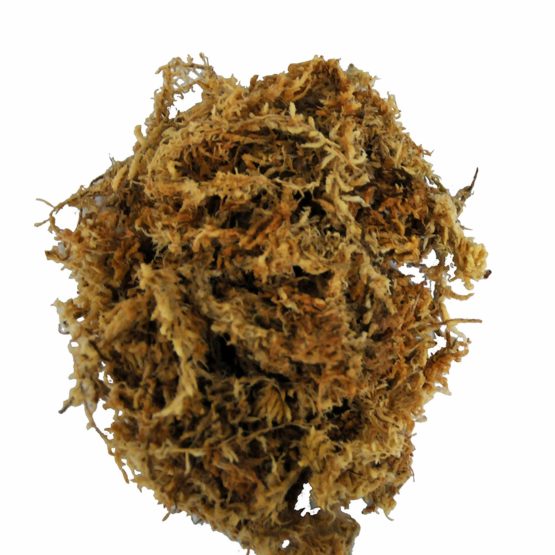 Lucky Reptile SM-100 Spaghnum Moss Brick, 100 g - Image 2