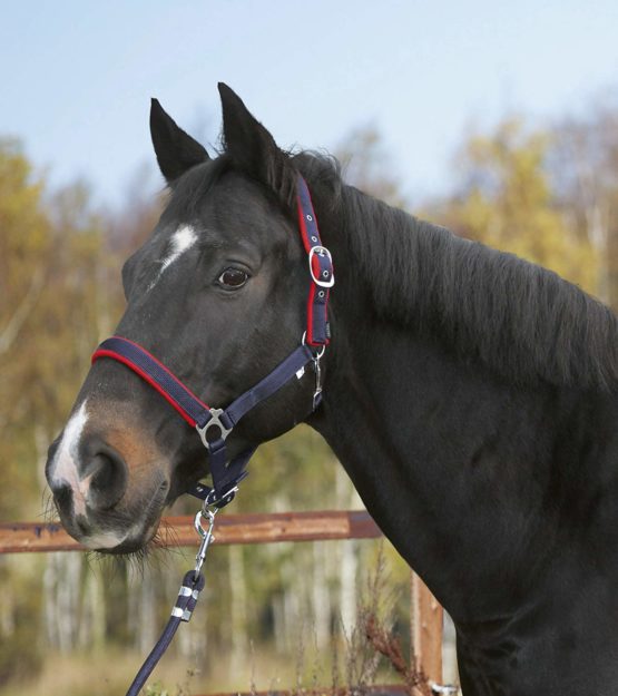 Kerbl Underlay Head Collar Dexter with Fleece - Image 3