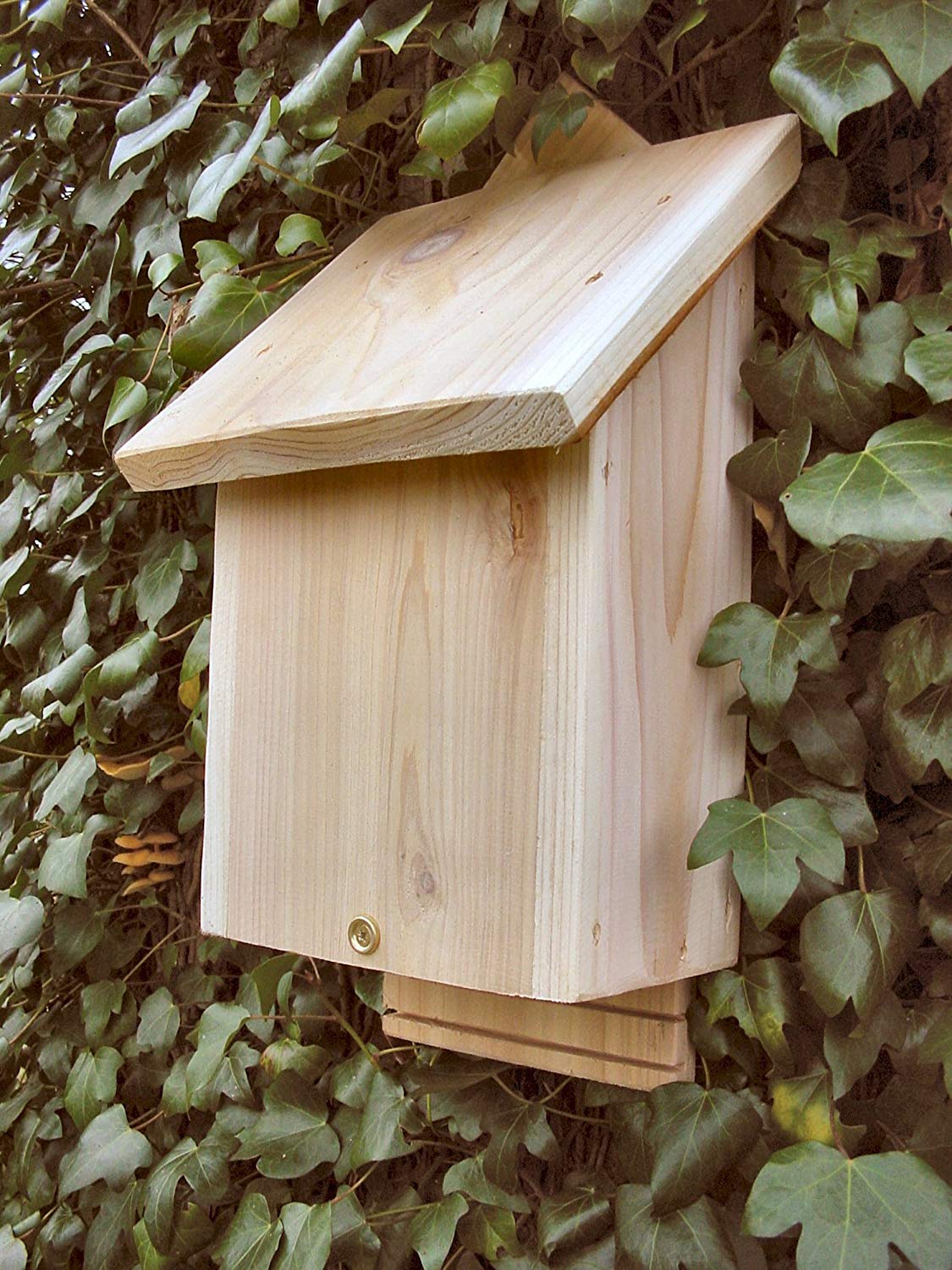 Wildlife World Chavenage Bat Box, Natural FSC Timber, 16.4 × 18 × 43 cm - Image 2