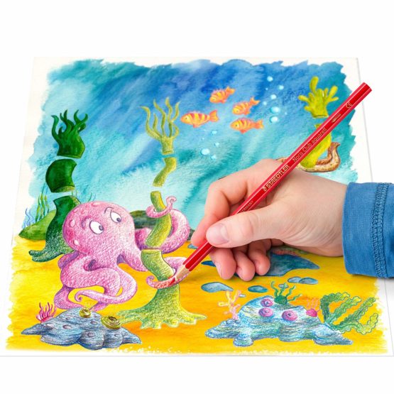 Staedtler 144 10NC24 Noris Club Aquarell Watercolour Pencils Plus Paint Brush, Assorted Colours, Pack of 24 - Image 4