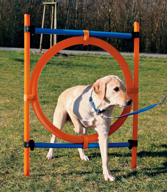 Trixie Dog Activity Agility Ring, 115 ﾗ 3 cm 65 cm, Orange/ Blue - Image 2