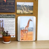 Gift Republic Adopt a Giraffe, Tin, Multicolor
