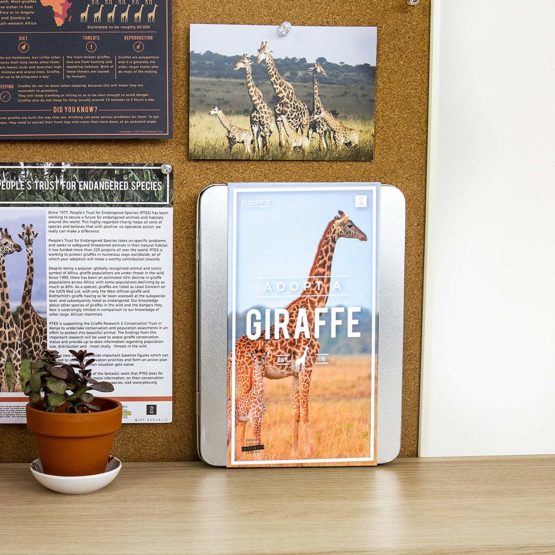 Gift Republic Adopt a Giraffe, Tin, Multicolor