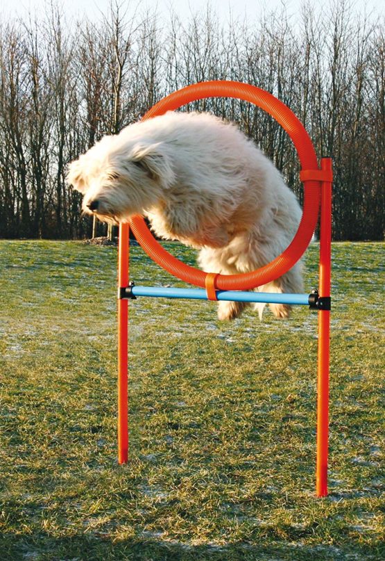 Trixie Dog Activity Agility Ring, 115 ﾗ 3 cm 65 cm, Orange/ Blue - Image 3